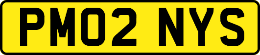 PM02NYS