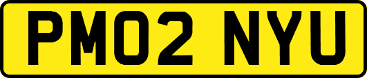 PM02NYU