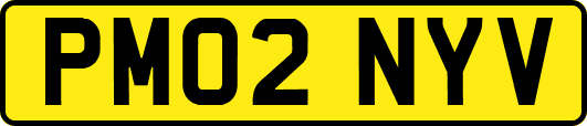 PM02NYV