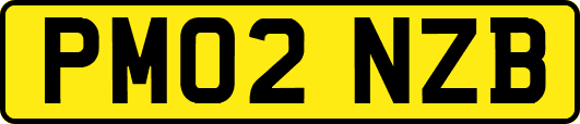 PM02NZB