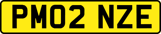 PM02NZE