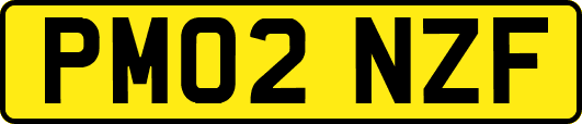 PM02NZF
