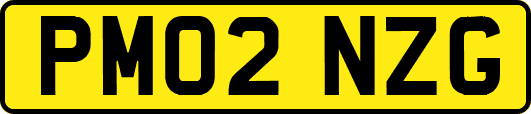 PM02NZG