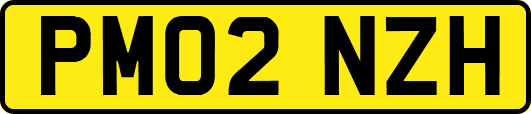 PM02NZH