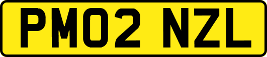 PM02NZL