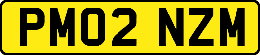 PM02NZM