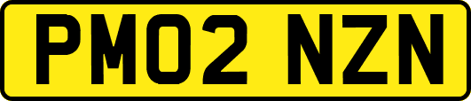 PM02NZN