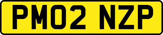 PM02NZP