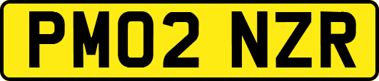PM02NZR