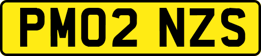 PM02NZS
