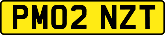 PM02NZT