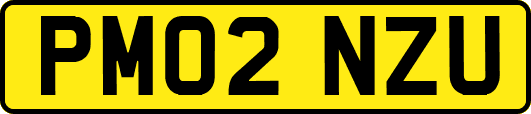 PM02NZU