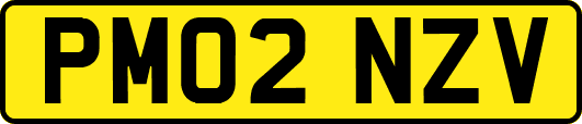 PM02NZV