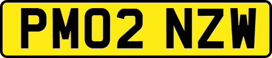 PM02NZW