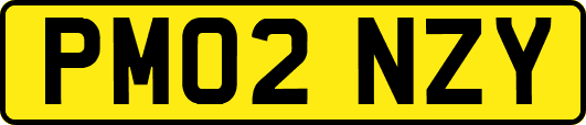 PM02NZY