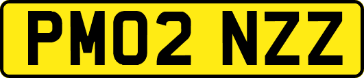 PM02NZZ