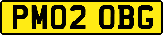 PM02OBG