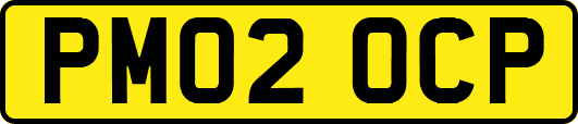PM02OCP