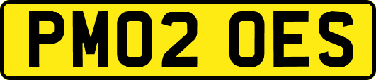 PM02OES