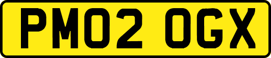 PM02OGX
