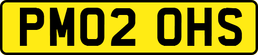 PM02OHS