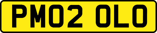 PM02OLO
