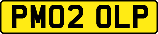 PM02OLP