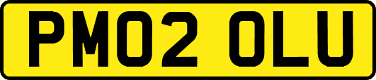 PM02OLU