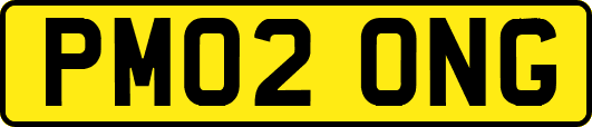 PM02ONG