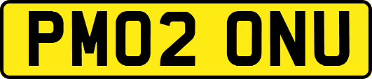 PM02ONU
