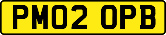 PM02OPB