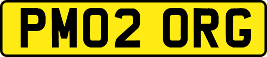 PM02ORG