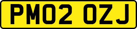 PM02OZJ