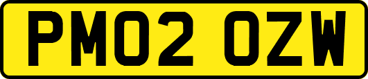 PM02OZW