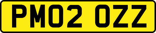 PM02OZZ