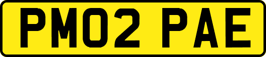 PM02PAE