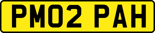 PM02PAH