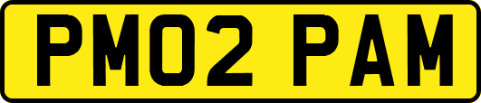 PM02PAM