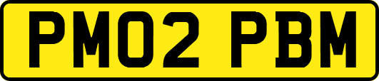 PM02PBM