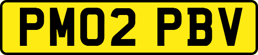 PM02PBV