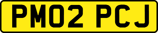 PM02PCJ