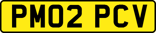 PM02PCV