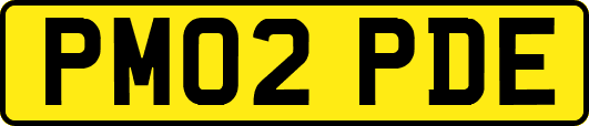 PM02PDE