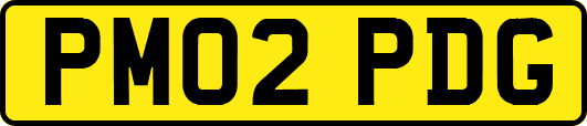PM02PDG