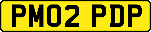 PM02PDP
