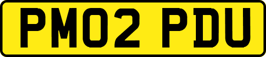 PM02PDU