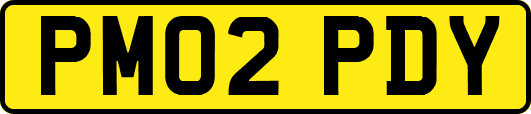 PM02PDY