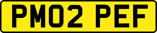 PM02PEF