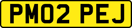 PM02PEJ
