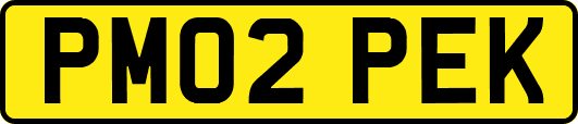 PM02PEK